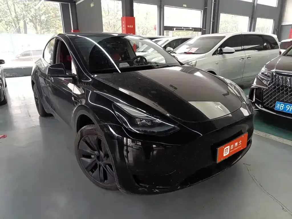 Tesla Model Y — фото 8