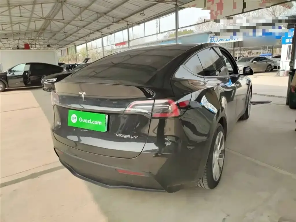 Tesla Model Y — фото 10