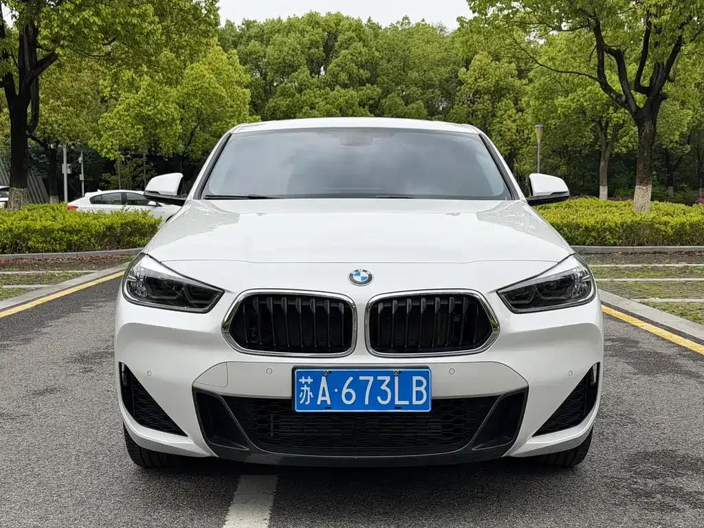 BMW X2 2023 из CN, фото 8
