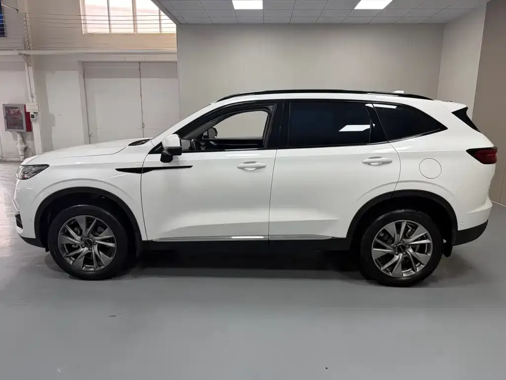 Haval H6 — фото 4