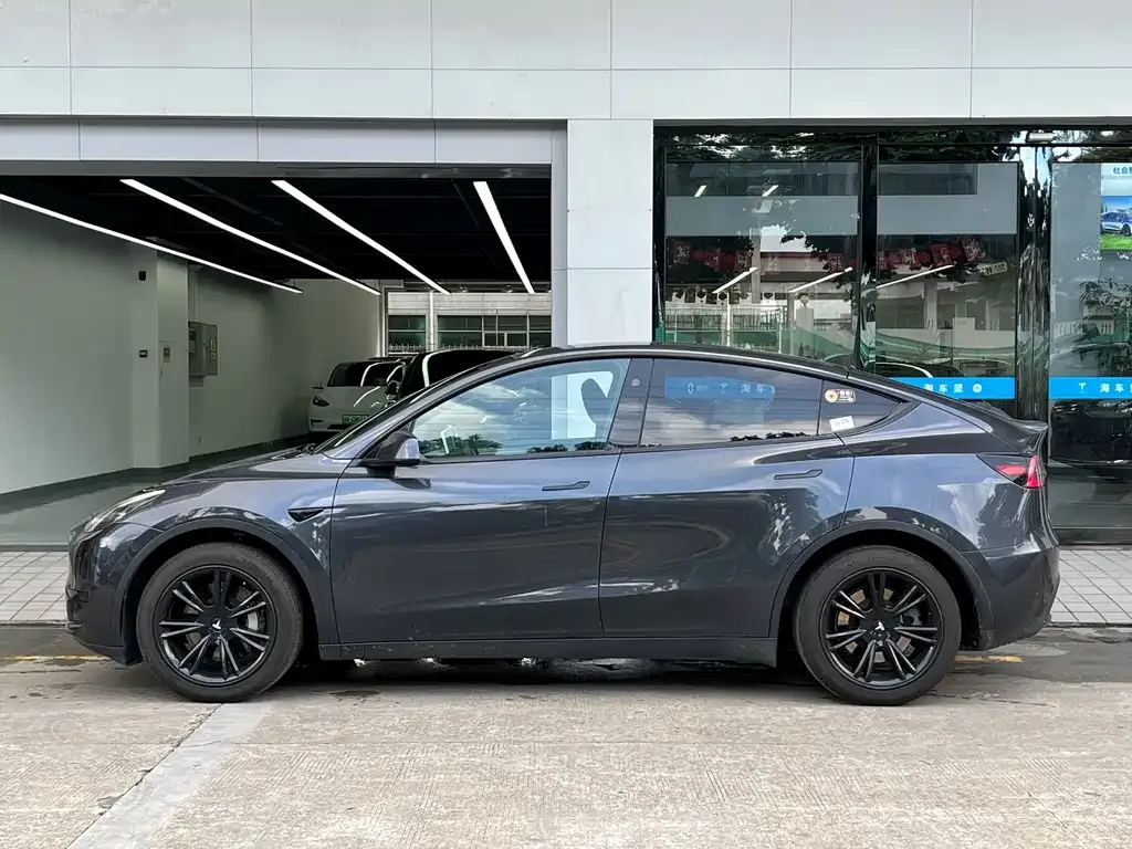 Tesla Model Y — фото 10