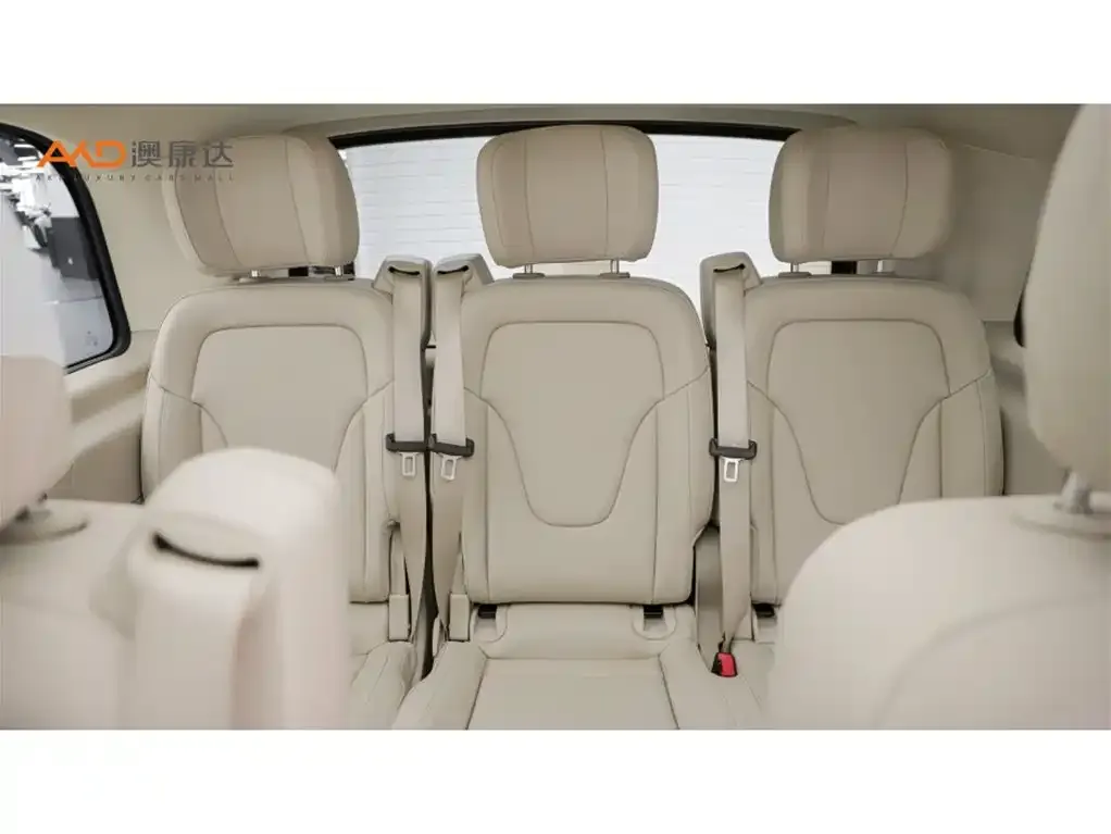 Mercedes-Benz V-Class 2022 из CN, фото 10