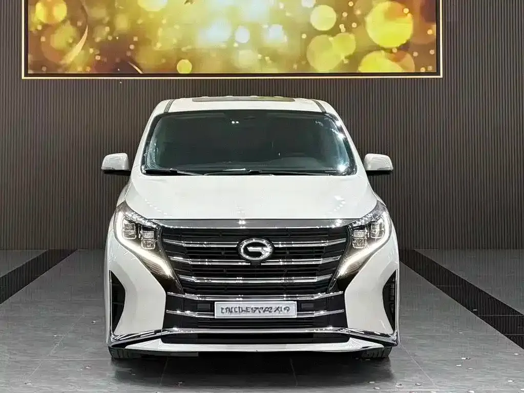 GAC Motor Trumpchi M8 2024 из CN, фото 10