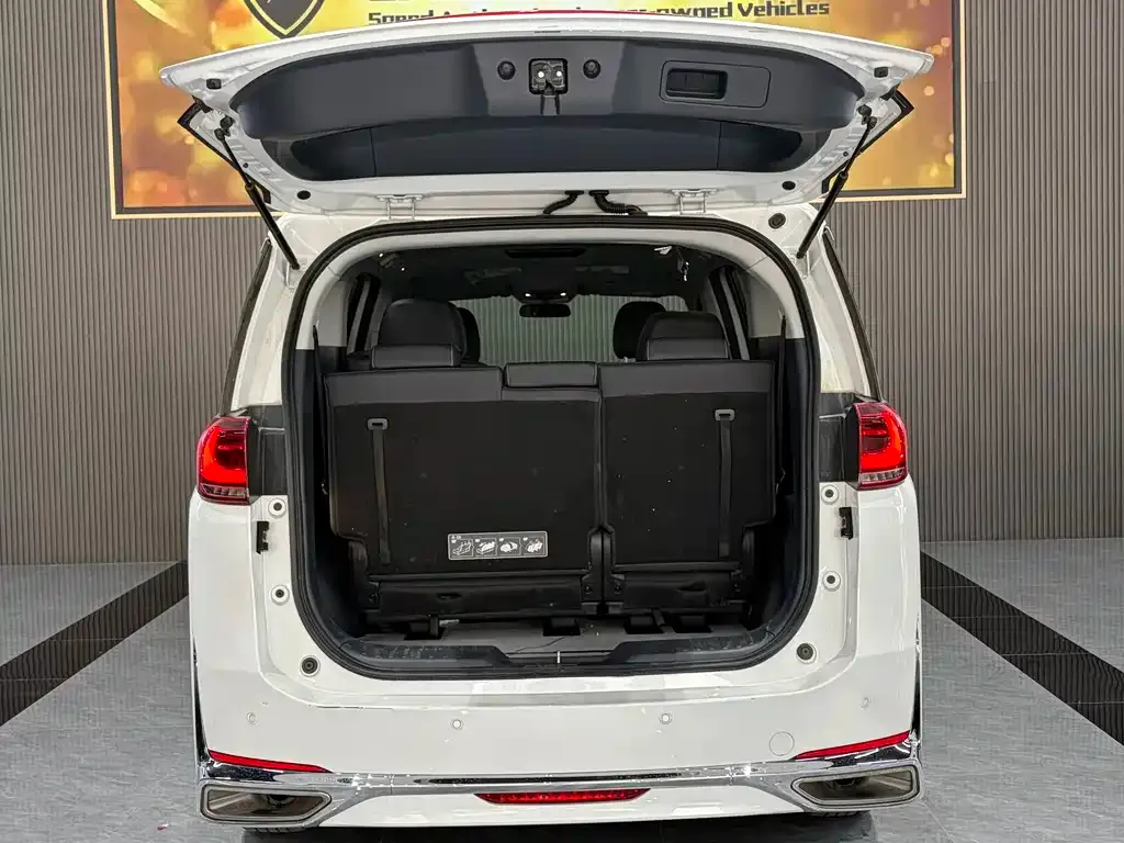 GAC Motor Trumpchi M8 2024 из CN, фото 9