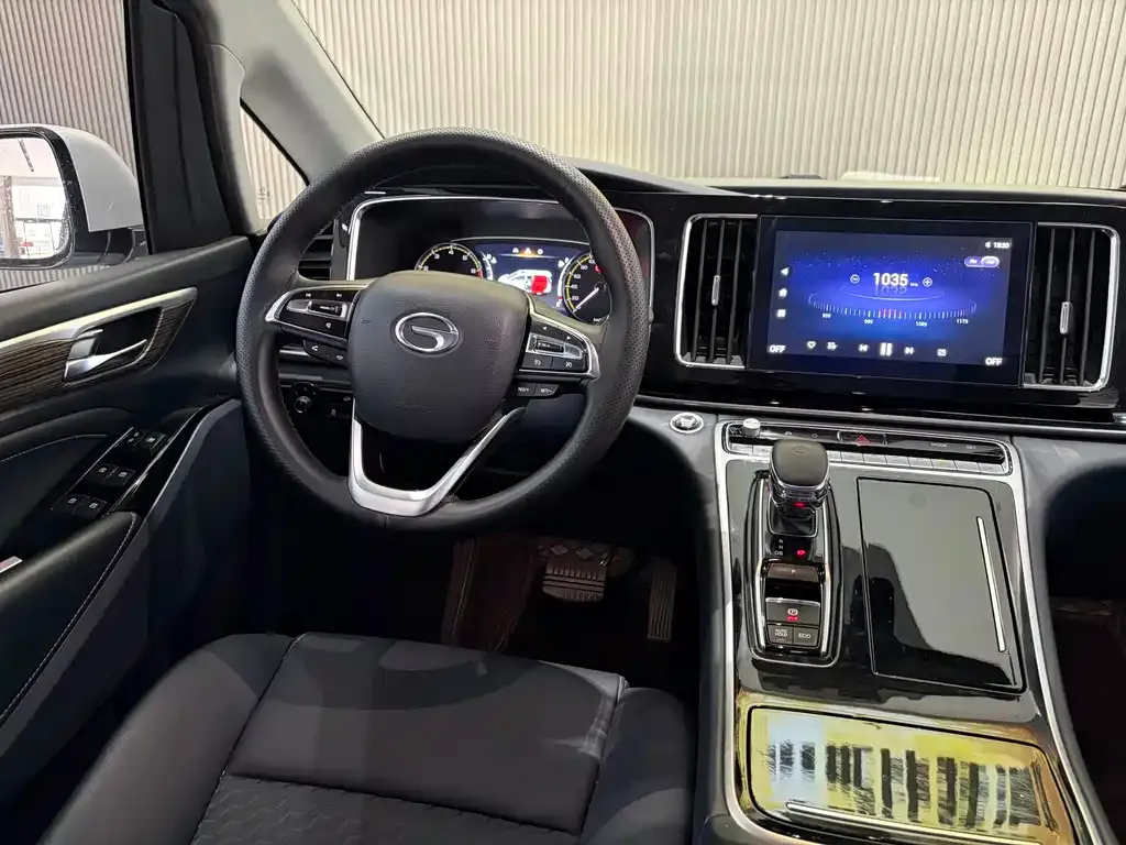 GAC Motor Trumpchi M8 2024 из CN, фото 8