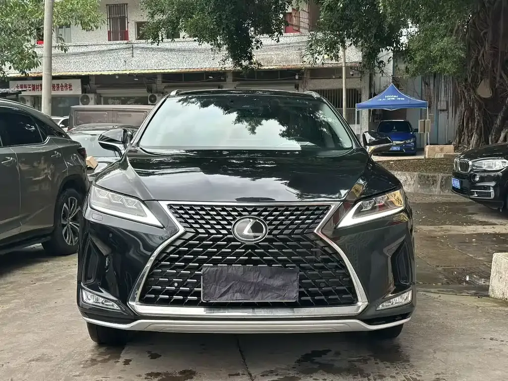 Lexus RX 2021 из CN, фото 8