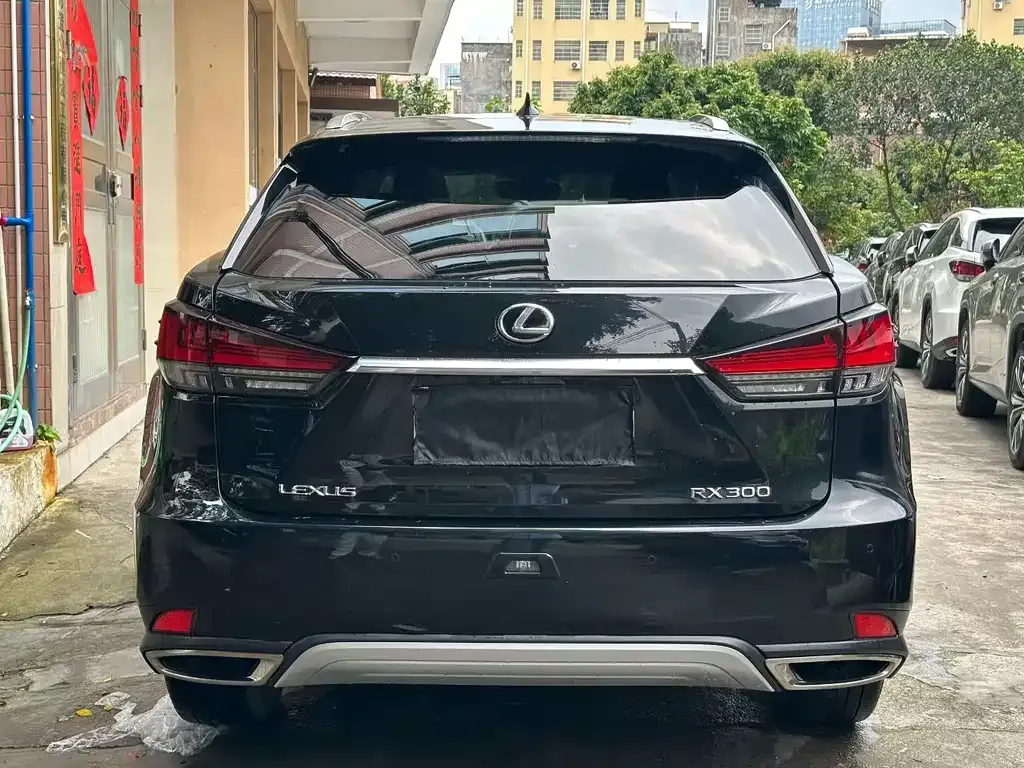 Lexus RX 2021 из CN, фото 6