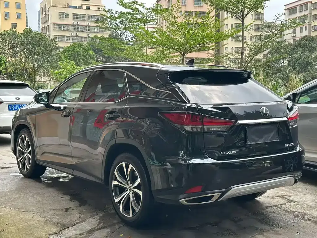 Lexus RX 2021 из CN, фото 7