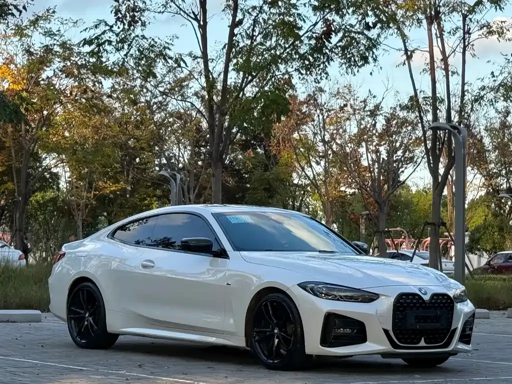 BMW 4 Series — фото 10
