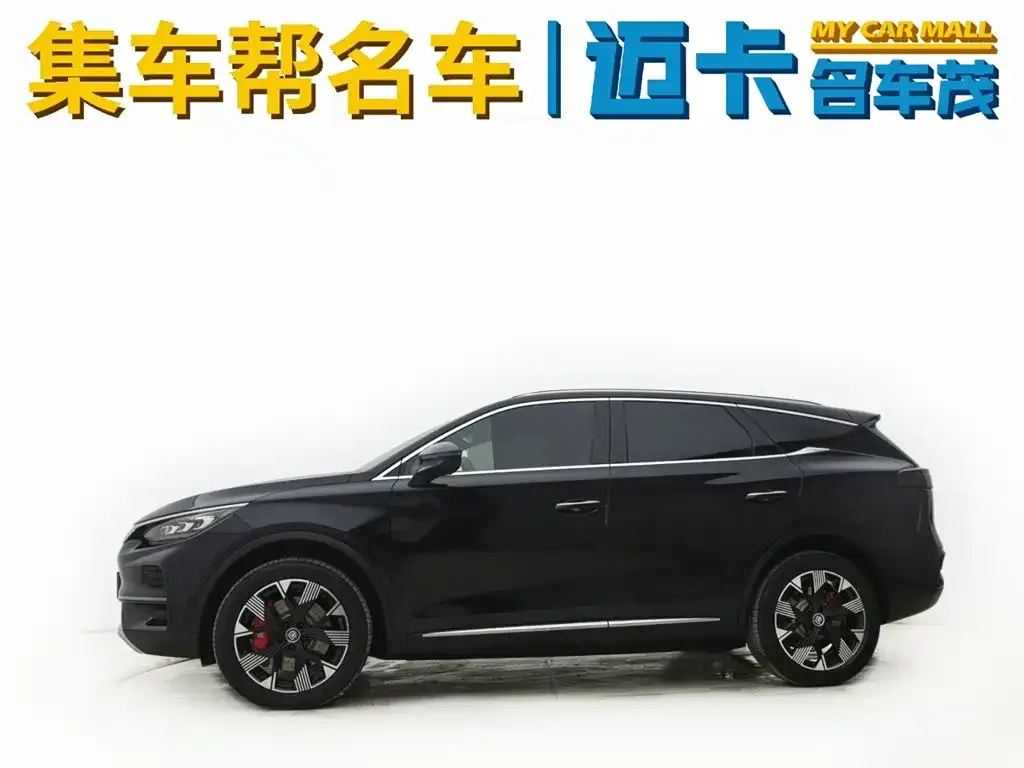 BYD Tang New Energy — фото 5