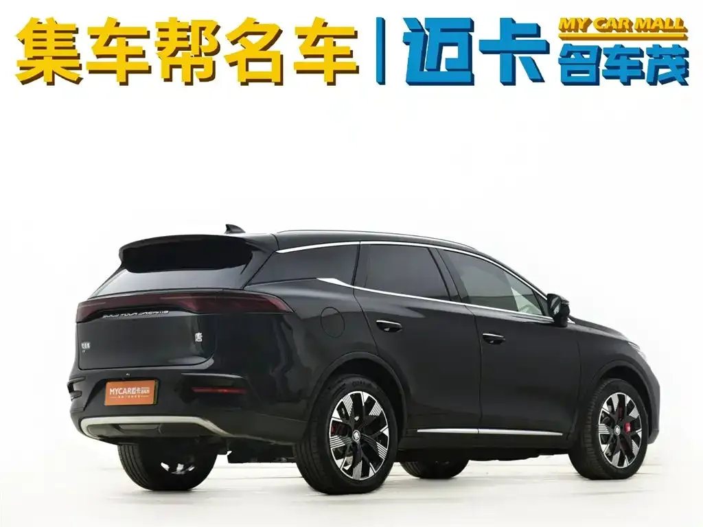 BYD Tang New Energy — фото 4