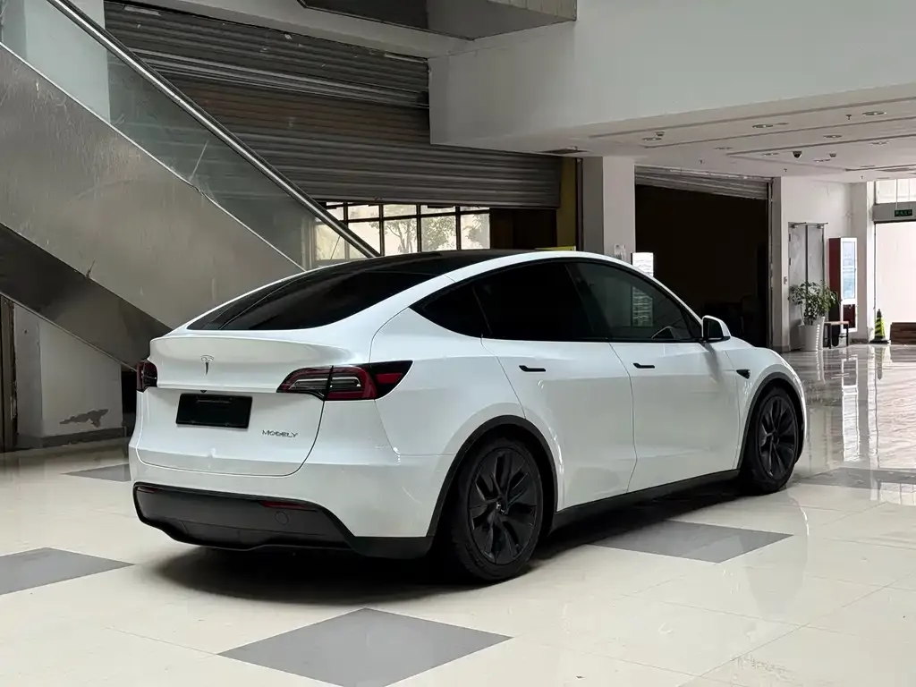 Tesla Model Y — фото 10