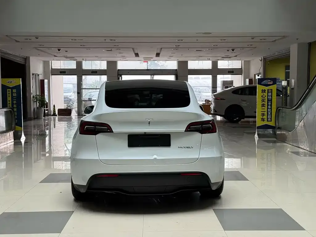 Tesla Model Y — фото 2