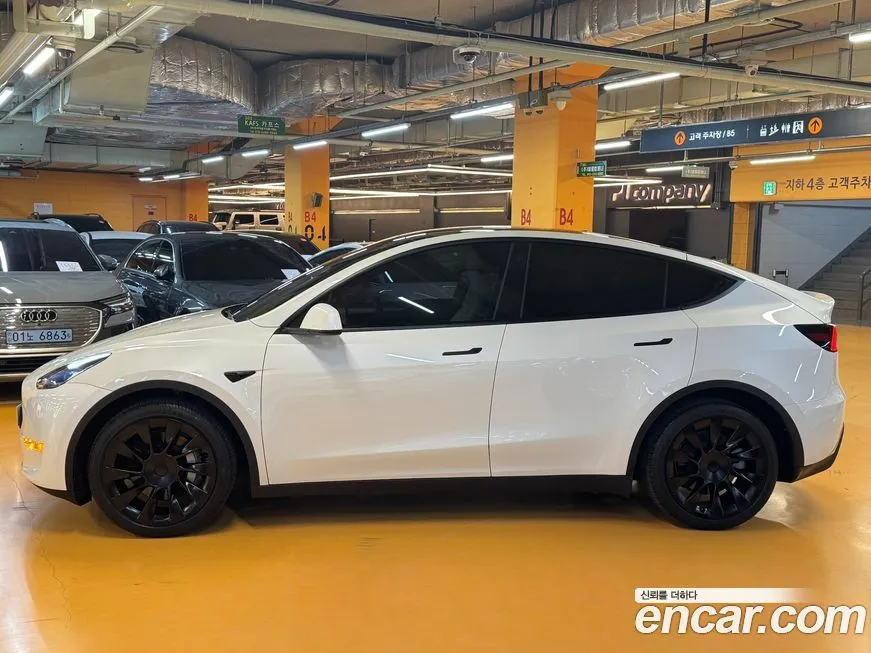 Tesla Model Y — фото 9