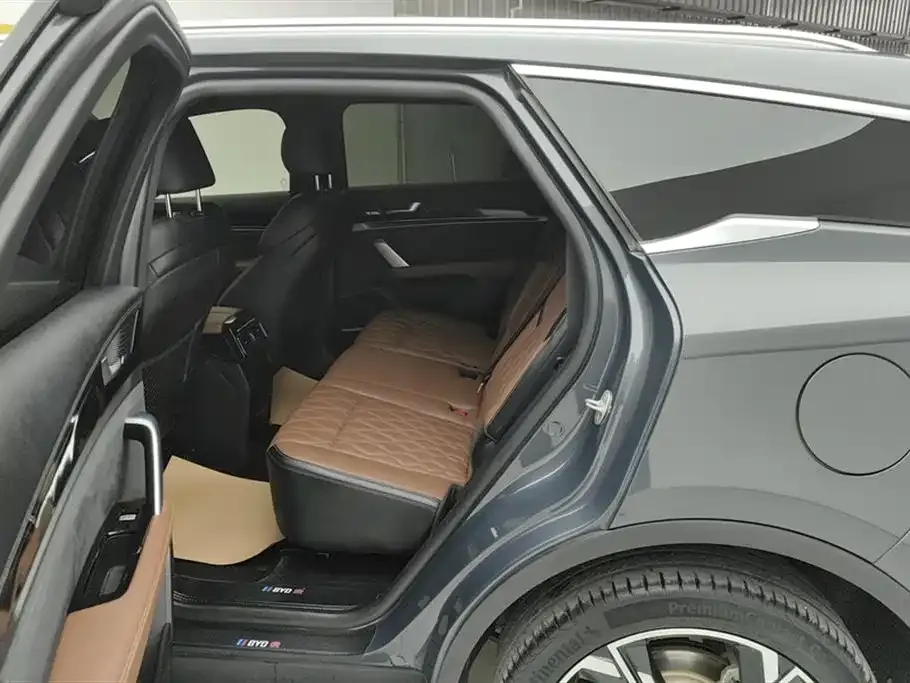 BYD Tang New Energy 2023 из CN, фото 9