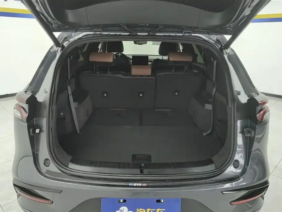 BYD Tang New Energy 2023 из CN, фото 7