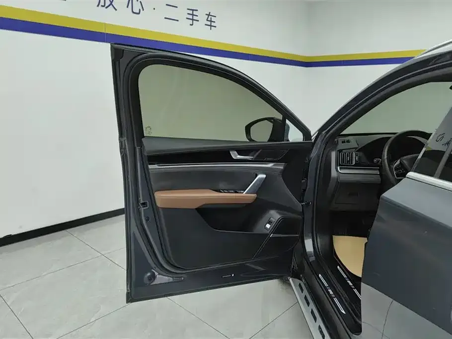 BYD Tang New Energy 2023 из CN, фото 10