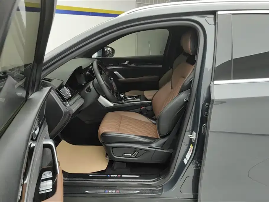 BYD Tang New Energy 2023 из CN, фото 2