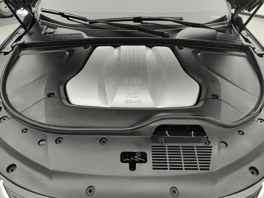 BYD Tang New Energy 2023 из CN, фото 3