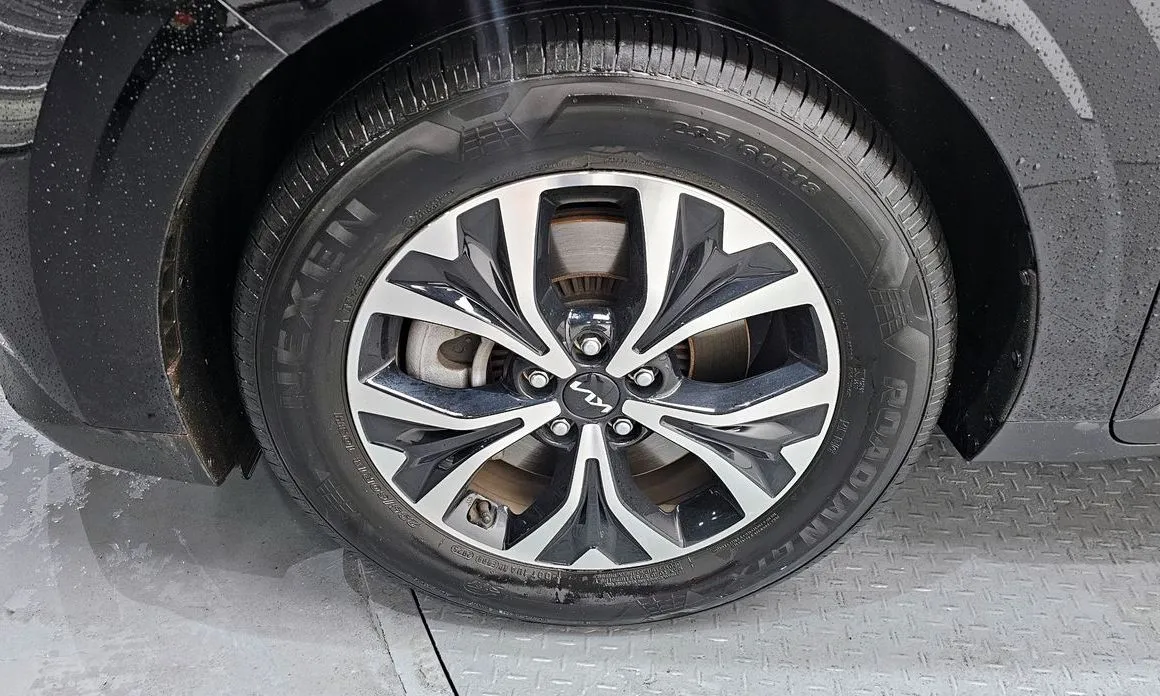 Kia Carnival — фото 10