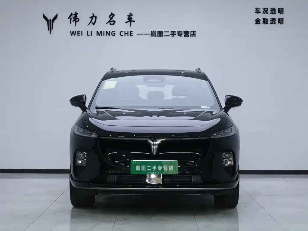 VOYAH Zhiyin 2024 из CN, фото 4