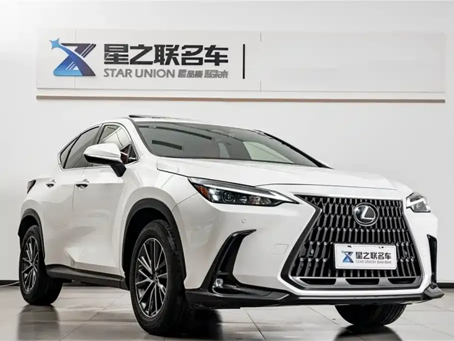 Lexus NX — фото 8