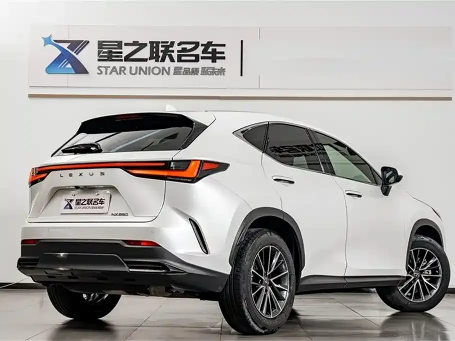 Lexus NX — фото 6