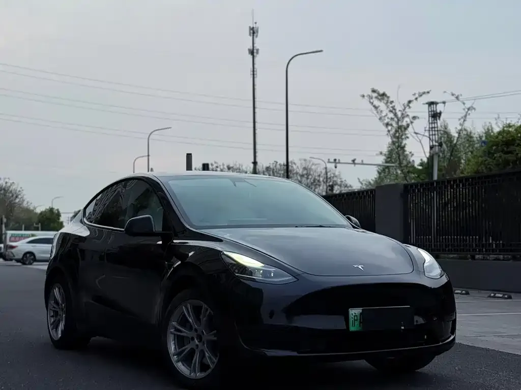 Tesla Model Y — фото 2