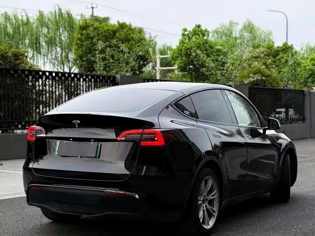 Tesla Model Y — фото 4