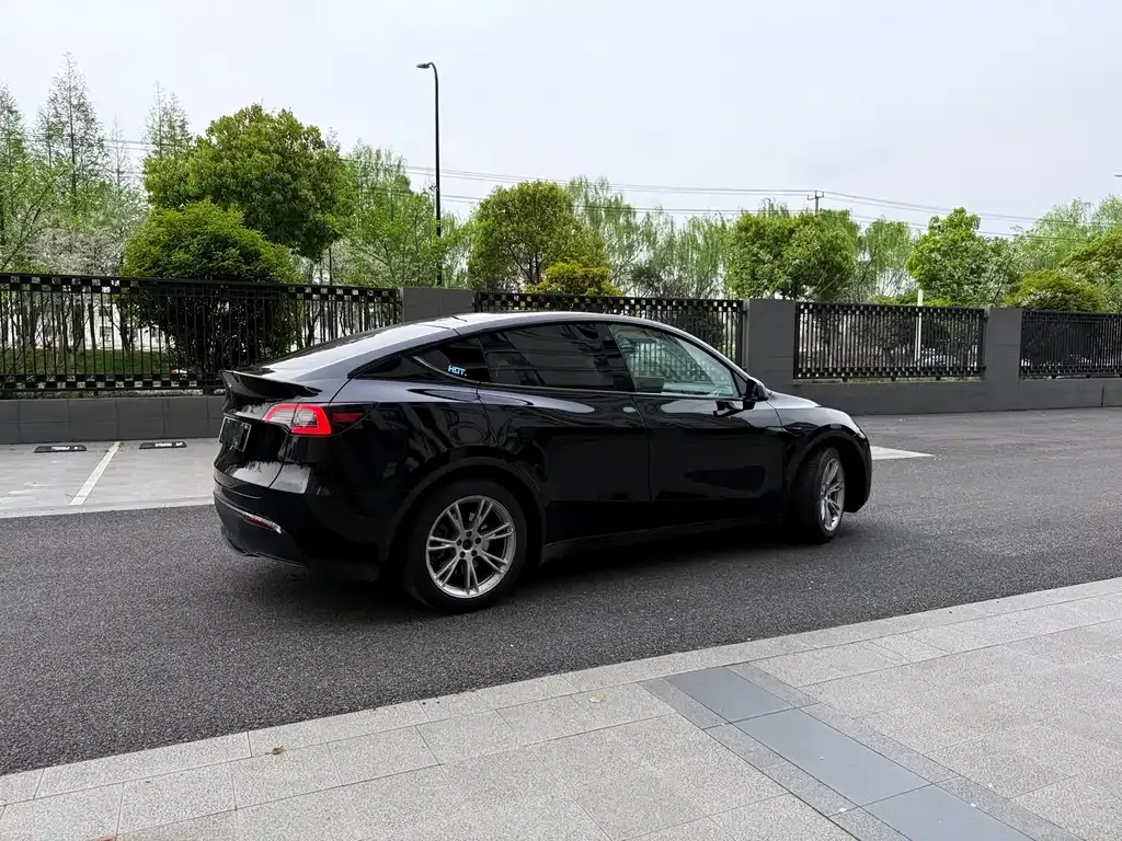 Tesla Model Y — фото 10