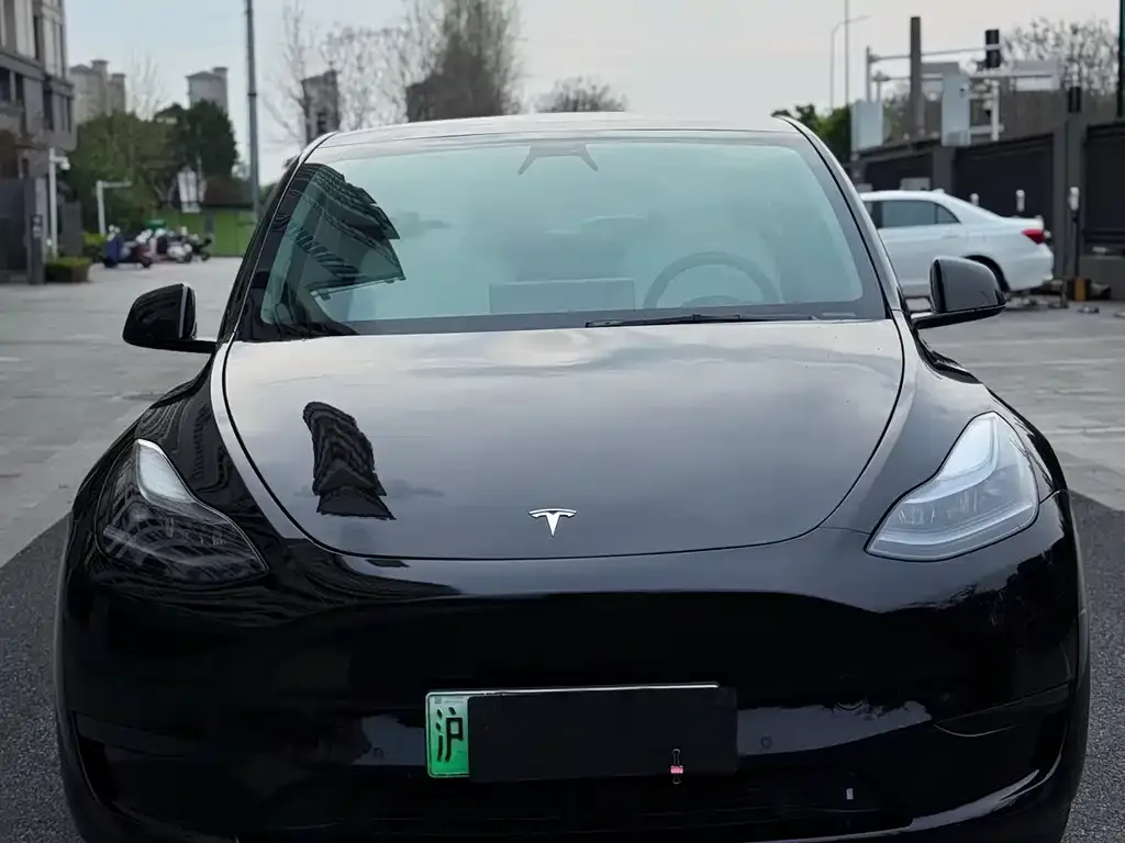 Tesla Model Y — фото 9