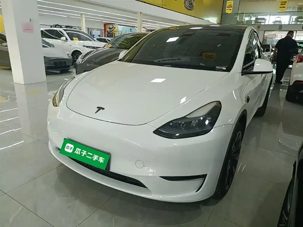 Tesla Model Y — фото 1