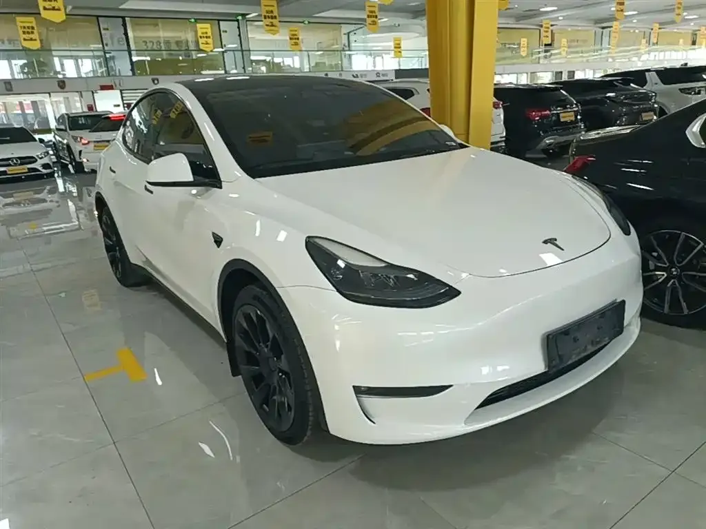 Tesla Model Y — фото 9
