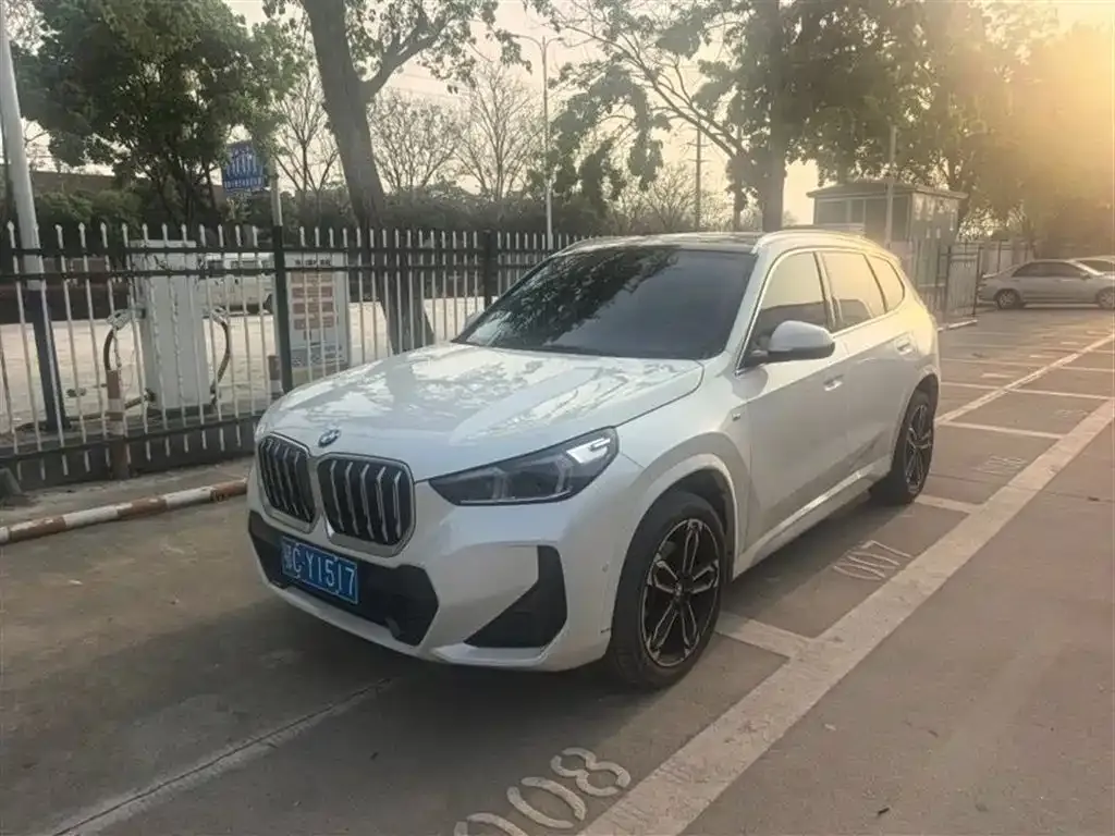 BMW X1 — фото 1