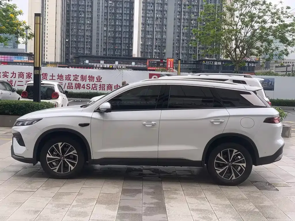 BYD Pro New Energy — фото 4