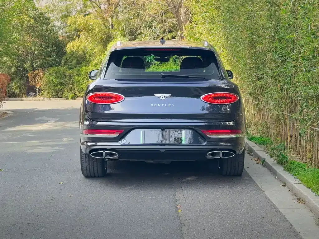 Bentley Bentayga PHEV 2023 из CN, фото 10