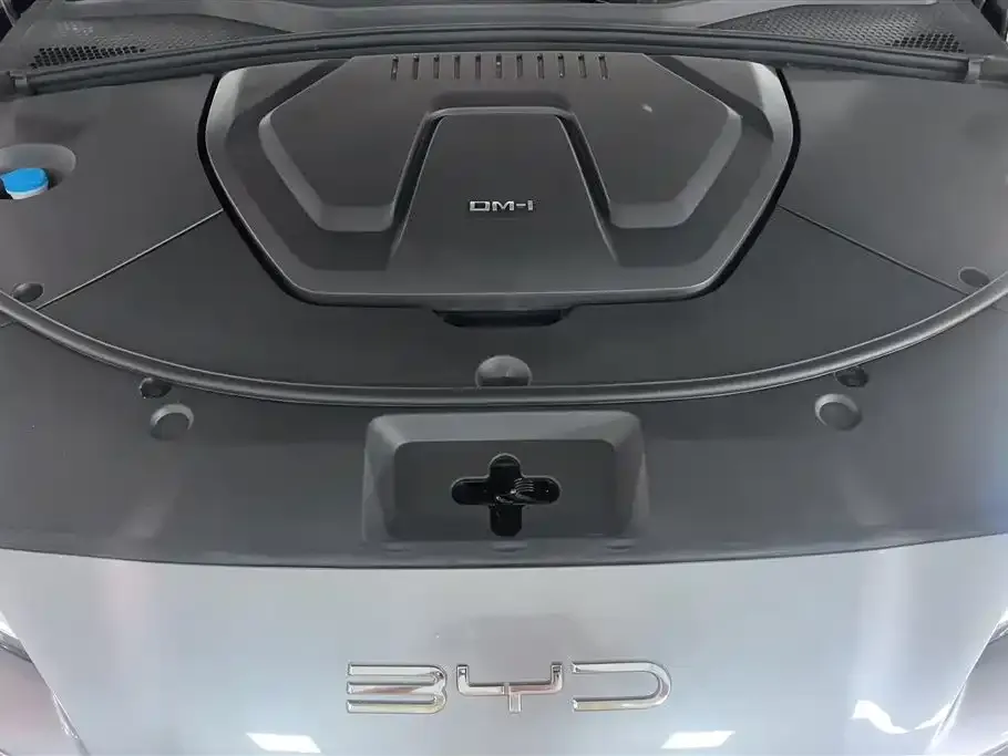 BYD PLUS New Energy — фото 2