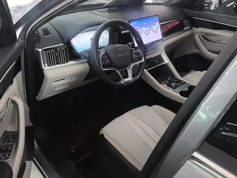 BYD PLUS New Energy — фото 10