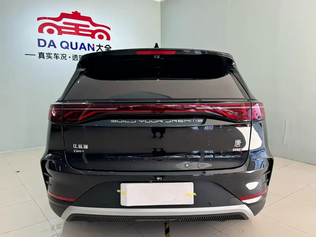 BYD Tang New Energy — фото 5
