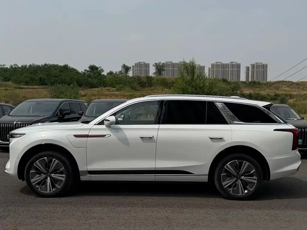 Hongqi E-HS9 2021 из CN, фото 4