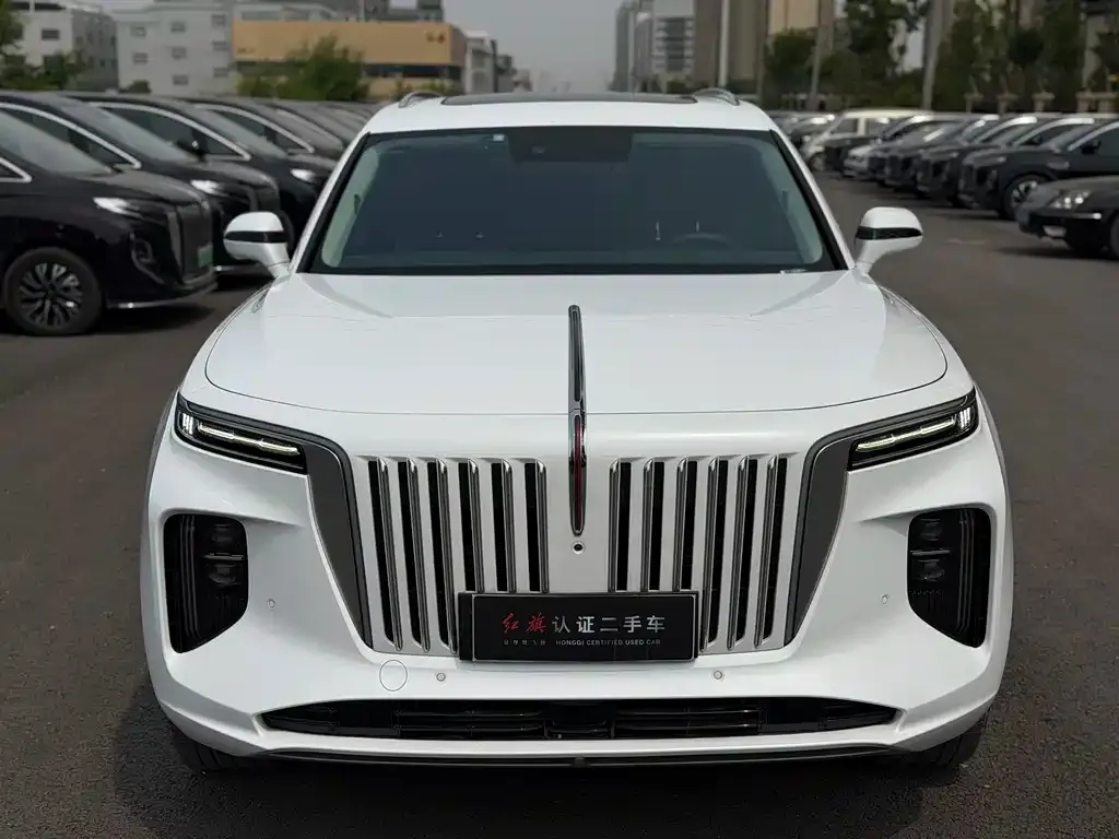 Hongqi E-HS9 2021 из CN, фото 7