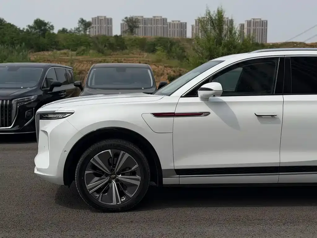 Hongqi E-HS9 2021 из CN, фото 3
