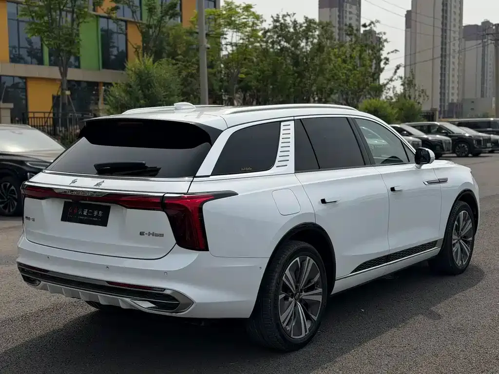 Hongqi E-HS9 2021 из CN, фото 8
