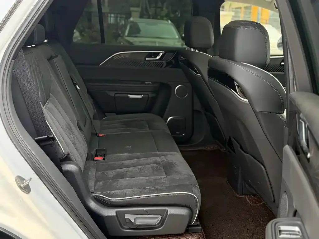 Hongqi E-HS9 2021 из CN, фото 5