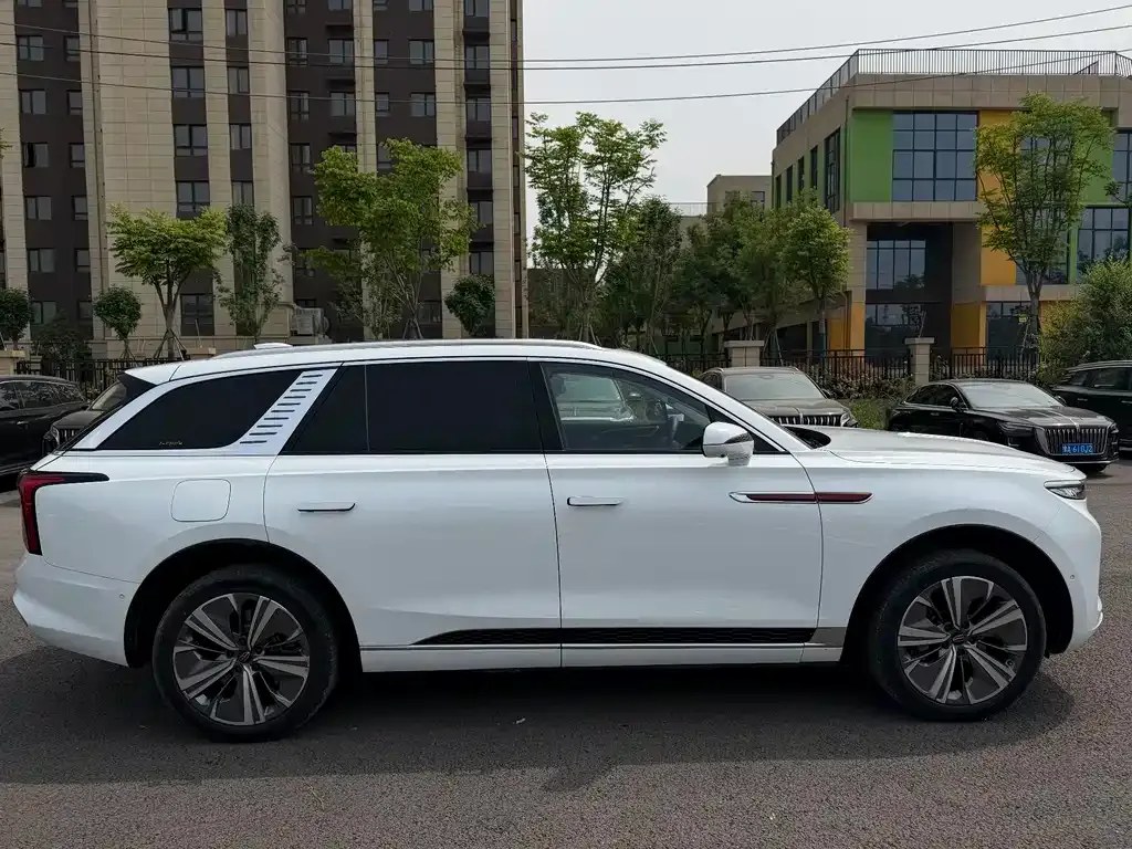 Hongqi E-HS9 2021 из CN, фото 9