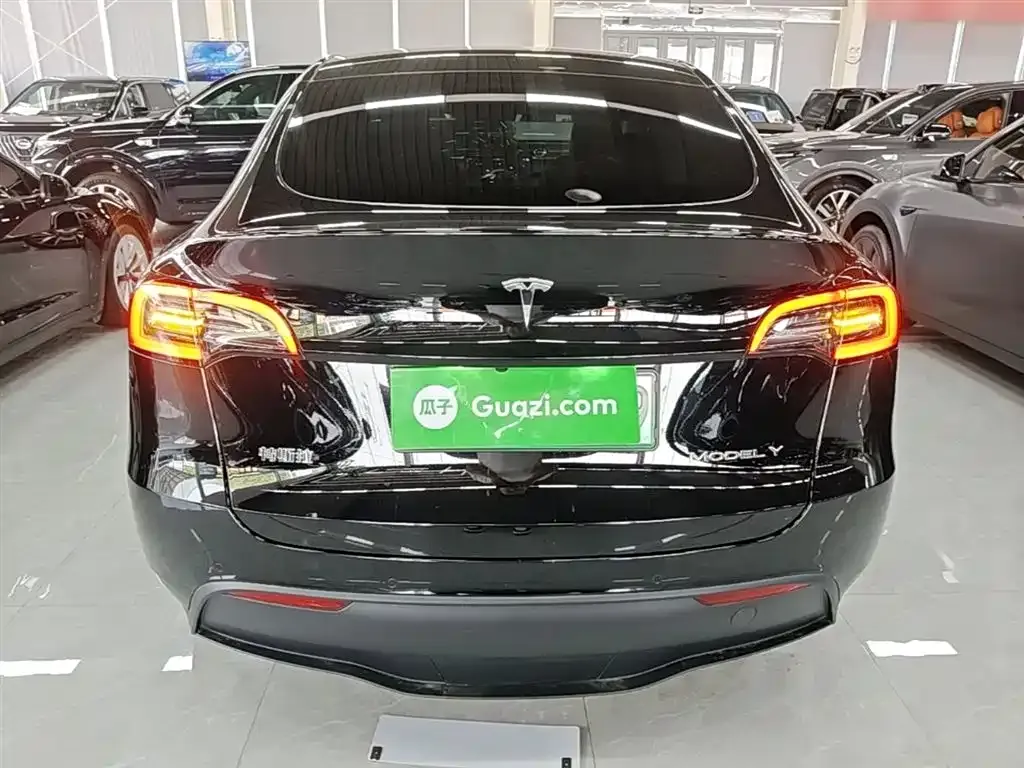 Tesla Model Y — фото 10