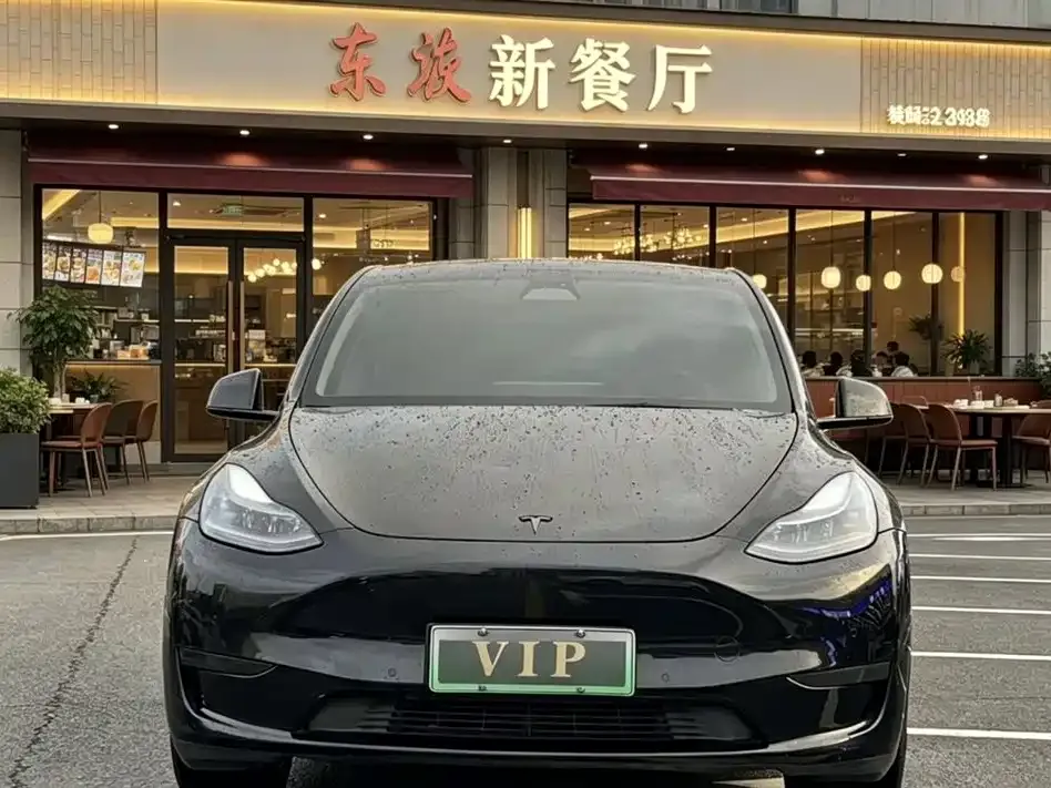 Tesla Model Y — фото 9