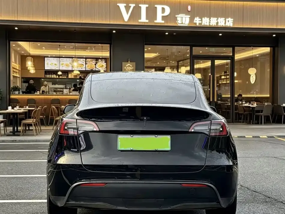 Tesla Model Y — фото 2