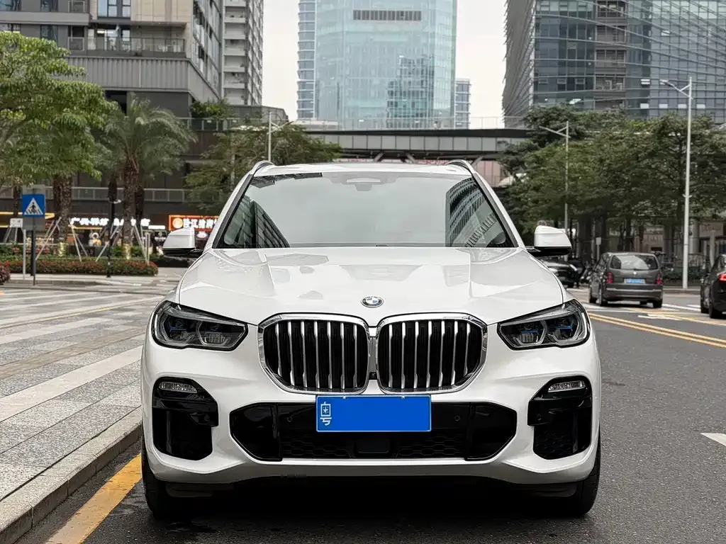 BMW X5 (Import) — фото 10