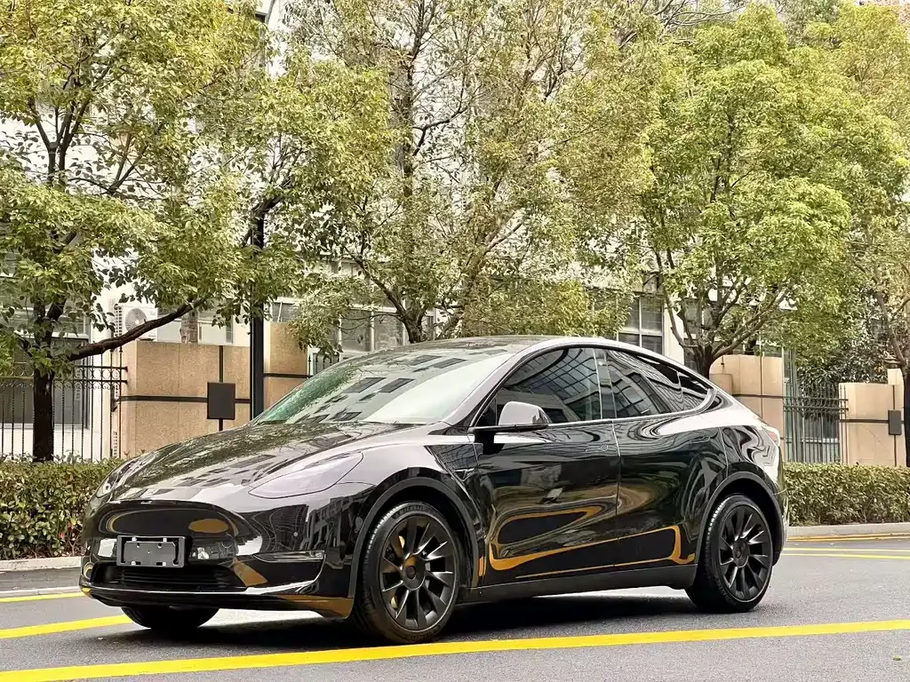 Tesla Model Y — фото 1